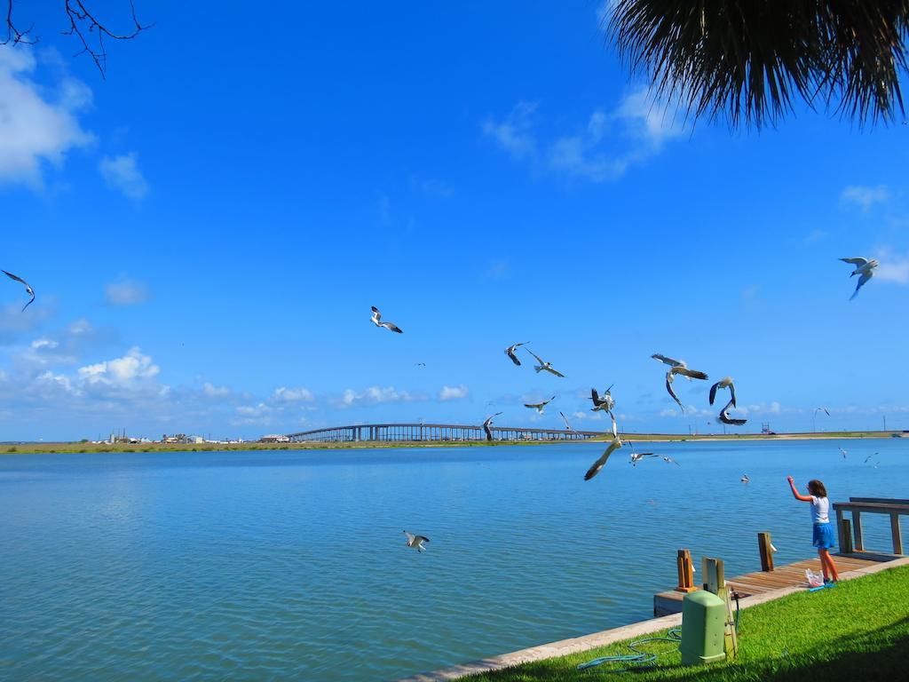 Multi Resorts At Puente Vista Corpus Christi Ngoại thất bức ảnh